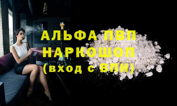 молекула духа Богородицк