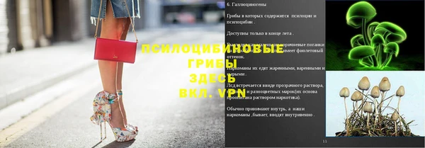 скорость Богданович