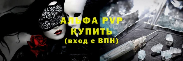 молекула духа Богородицк