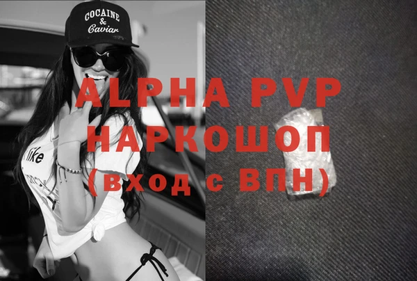 молекула духа Богородицк