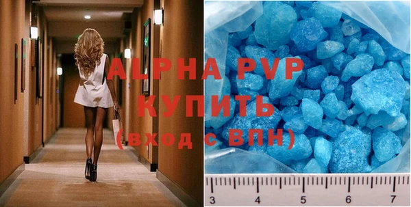 молекула духа Богородицк