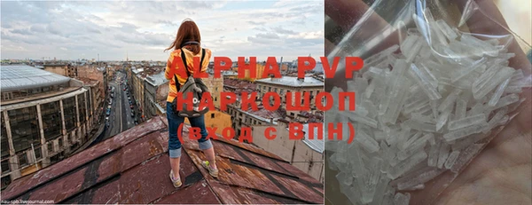 молекула духа Богородицк