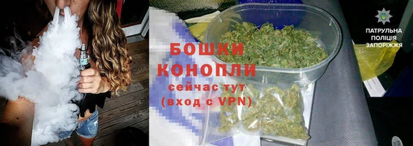 молекула духа Богородицк