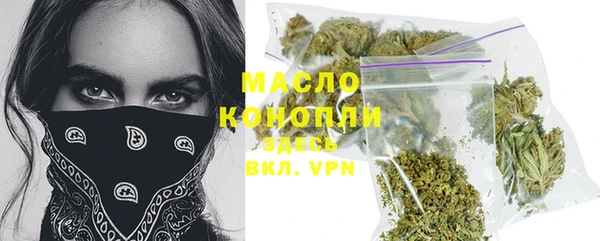 молекула духа Богородицк